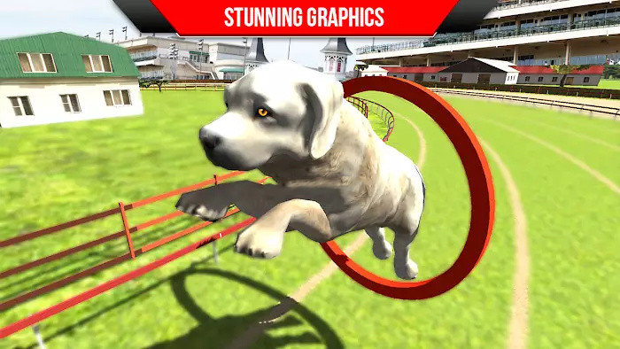 狗狗训练3D(Dog Training: Dog Games 3D)  v1.3