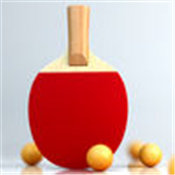 虚拟乒乓球安卓版  v1.0