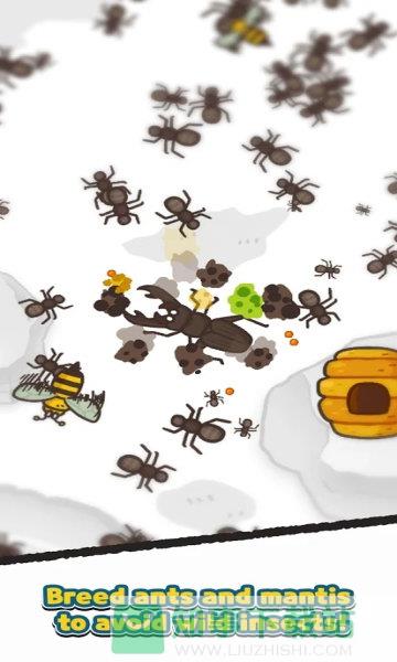 蚂蚁和螳螂游戏安卓版  v0.8