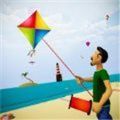 风筝战斗飞行3D游戏安卓版  v1.0.4
