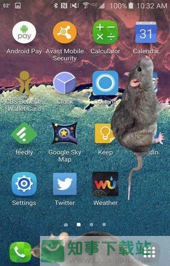 大鼠在屏幕上  v1.4