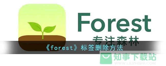 《forest》标签删除方法