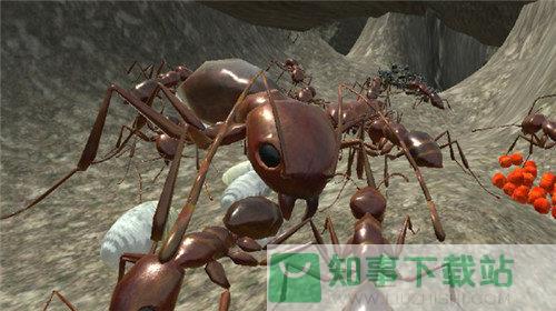 蚁族崛起中文版  v1.0.5.0