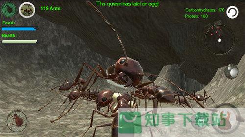 蚁族崛起中文版  v1.0.5.0