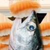 鲑鱼吃寿司手机版  v1.18