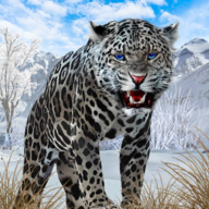 野生雪豹模拟器  v2.2