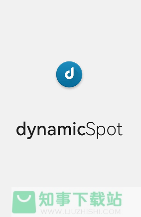 dynamicSpot怎么设置