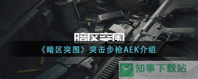 《暗区突围》突击步枪AEK介绍