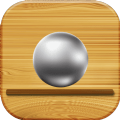 物理平衡弹球  v1.0