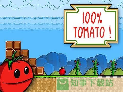 番茄世界
