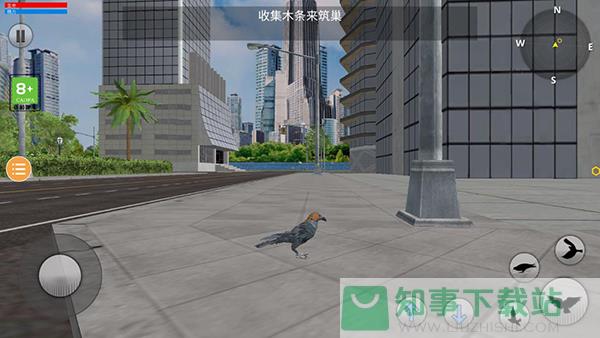 鸽子模拟器中文版