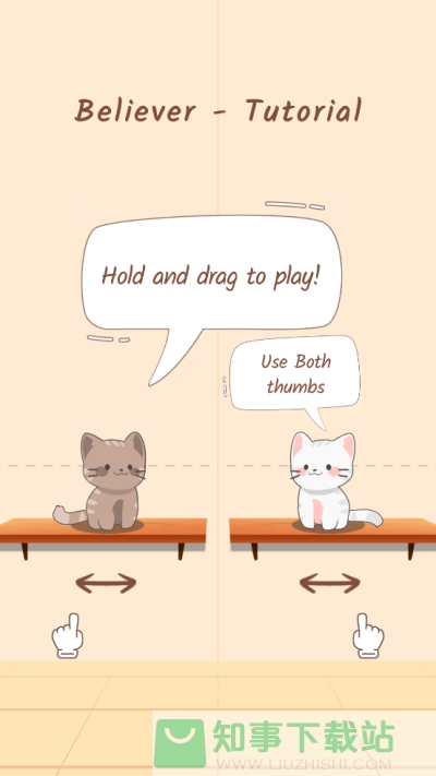 duet cats(猫咪二重奏)