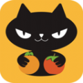 橙柿猫