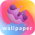 wallpaper壁纸大全app