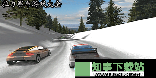 拉力赛车游戏哪个最好玩-拉力赛车游戏app手机版推荐下载