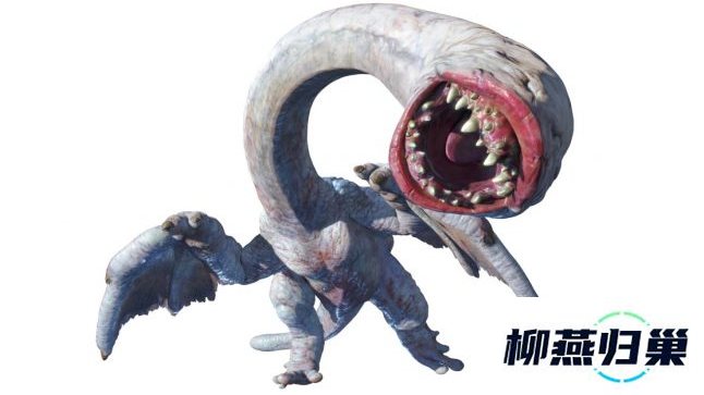 怪物猎人白电龙被命名广西新发现生物引热议