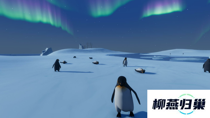 南极美景企鹅互动