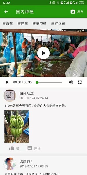云南香蕉网今日蕉价软件
