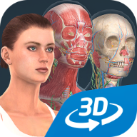 人体解剖女性app