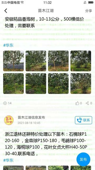 苗木江湖app