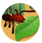 蚂蚁进化3d池塘水怪版