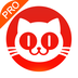 猫眼票房专业版app