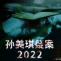 孙美琪疑案2022游戏