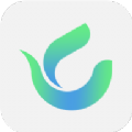 绿茶语音app