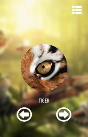 动物眼睛模拟器app下载