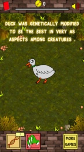 鸭子进化生活游戏