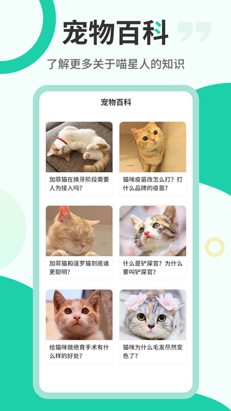猫叫翻译机app