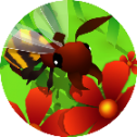 蜜蜂进化3D