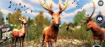 野鹿猎人Wild Deer hunter