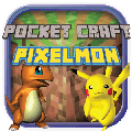 Pocket Craft PokeBlock手机版 v1.0 安卓版