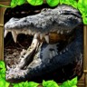 鳄鱼模拟器(CrocodileSim)