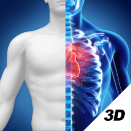 人卫3d人体解剖图谱app