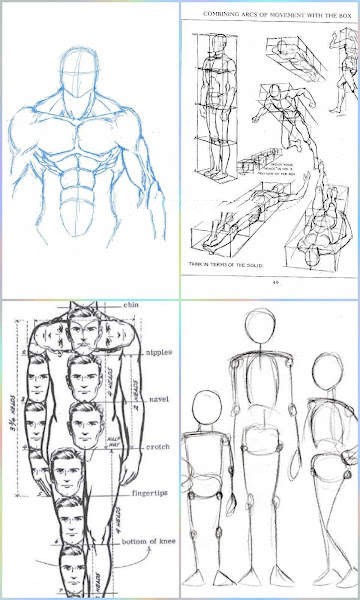 人体绘图软件(Drawing Human Body)