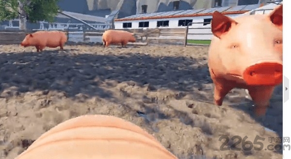 小猪模拟器中文版pigsimulator
