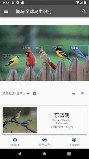 懂鸟全球鸟类识别软件