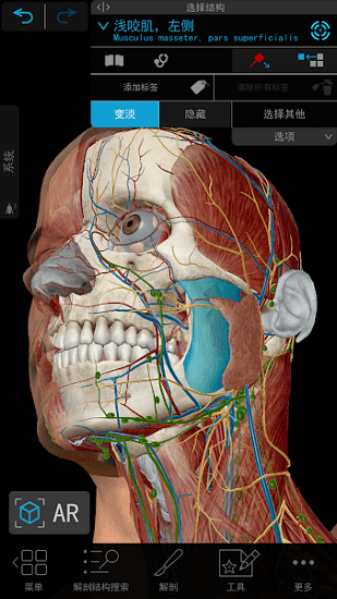 atlas解剖模型软件